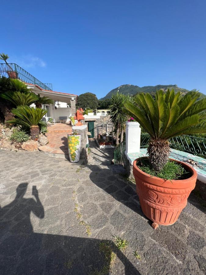 Blu Panorama Bed & Breakfast Forio  Bagian luar foto